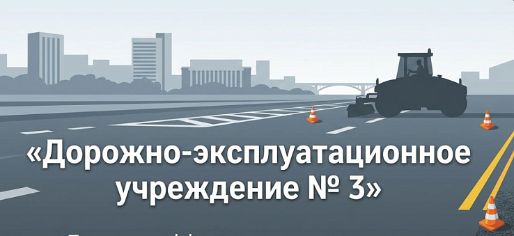 Проверка эффективности деятельности муниципального казенного учреждения города Новосибирска «Дорожно-эксплуатационное учреждение № 3» за 2023-2024 годы