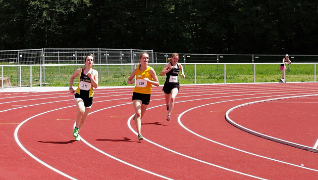 Проверка эффективности деятельности муниципального бюджетного учреждения дополнительного образования города Новосибирска «Спортивная школа олимпийского резерва «Фламинго» по легкой атлетике»